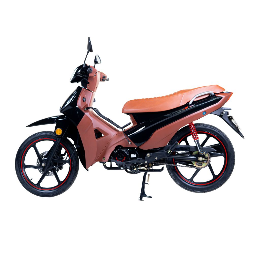 PHOENIX S EFI