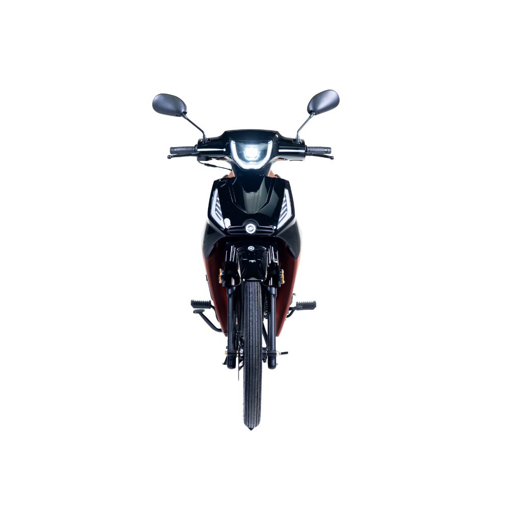 PHOENIX S EFI