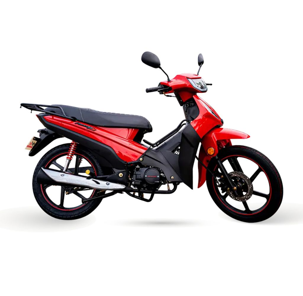 PHOENIX S EFI