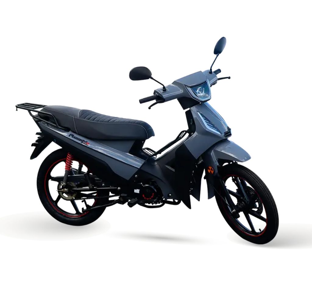 PHOENIX S EFI