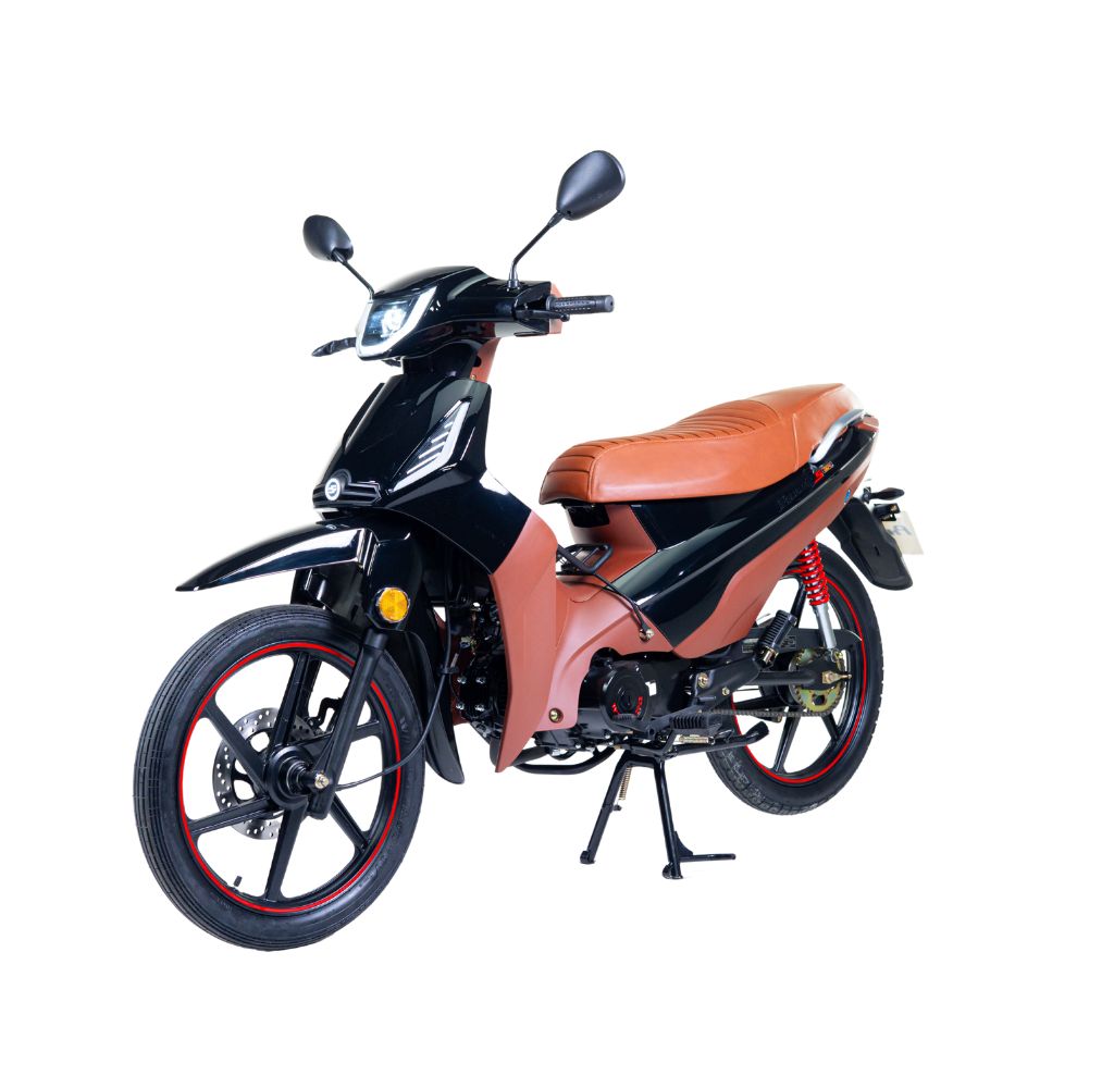 PHOENIX S EFI
